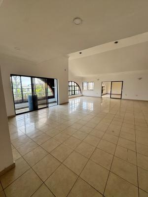 Massive 4 Bedroom Penthouse with Bq, Lekki Phase 1, Lekki, Lagos, Flat / Apartment for Rent