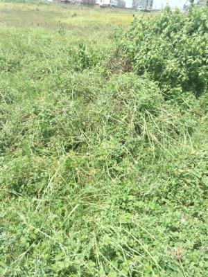 Bare Land, Buenavista Estate By Chevron Gate, Lekki Phase 2, Lekki, Lagos, Residential Land for Sale