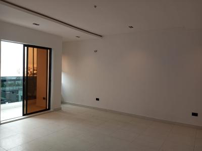 Brand New Fully Serviced and  Lovely 2 Bedroom Luxury Apt with Bq, Lekki Phase 1, Lekki, Lagos, Flat / Apartment for Rent