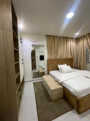 Semi Furnished One Bedroom, Banana Island, Ikoyi, Lagos, Mini Flat (room and Parlour) for Rent