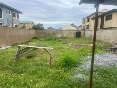 a Land Measuring 500 Sqm, Fenced and Gated in a Serene Environment, Off Ayodele Oke-owo, Soluyi, Gbagada, Lagos, Land for Sale