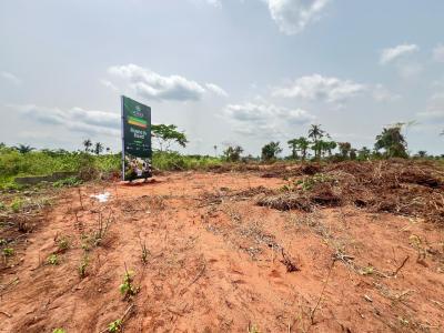 A C of O Land in a Strategic Environment with Maximum Roi — Mowe Ofada, Ogun