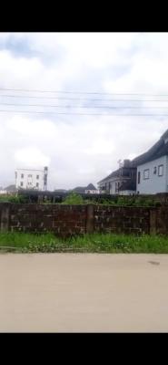 1500sqm Bare Land in a Serene and Secured Environment, 1st Avenue Estate, Festac, Amuwo Odofin, Lagos, Mixed-use Land for Sale