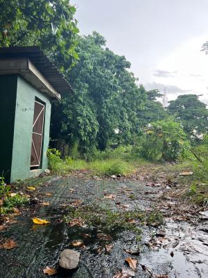 Land, Ologiun Agbaje, Victoria Island (vi), Lagos, Land for Sale
