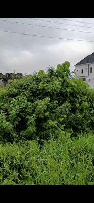 1000sqm Bare Land in a Serene and Secured Environment, 6th Avenue Estate, Festac, Amuwo Odofin, Lagos, Residential Land for Sale