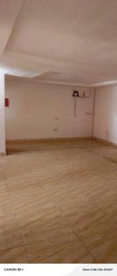 Beautiful Serviced 1bedroom Apartment (penthouse, Lekki Phase 1, Lekki, Lagos, Mini Flat (room and Parlour) for Rent