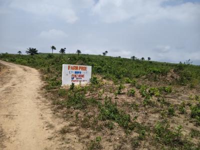 Prime Agricultural Land for Farming and Long-term Investment, Farm Pride Estate, Epe, Lagos, Mixed-use Land for Sale