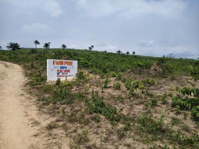 Prime Agricultural Land for Farming and Long-Term Investment