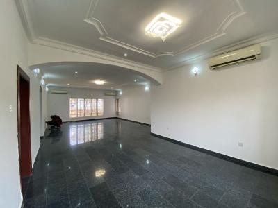 Luxurious Unfurnished and Fully Serviced 3 Bedroom Apartment with Bq, Asokoro Main, Asokoro District, Abuja, Flat / Apartment for Rent