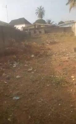 Affordable Massive Half Plot of Land with C of O, New Oko-oba, Agege, Lagos, Residential Land for Sale