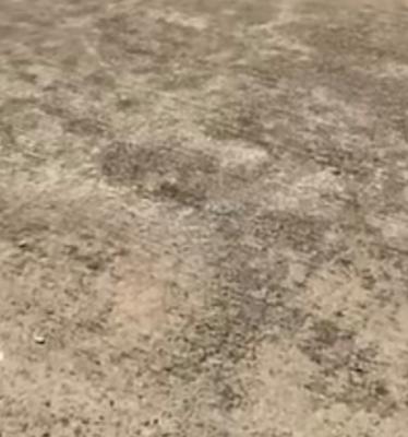1,300 Sqm Available at Royal Pine Orchid Road, Lekki, Lagos, Orchid Road, 2nd Toll Gate Chevron Axis, Lekki, Lagos, Land for Sale
