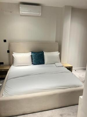 Luxury Fully Furnished Apartment with Excellent Facility, Lekki Phase 1, Lekki, Lagos, Flat / Apartment for Rent