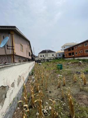 Plot of Land, Agungi, Lekki, Lagos, Land for Sale