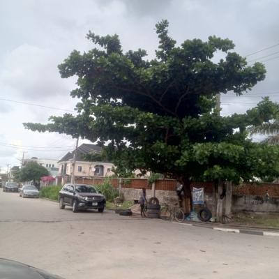 1300 Sq of Fenced and Corner Piece Land Situate in a Secured Estate, Amuwo Odofin, Lagos, Land for Sale