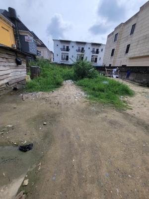 Dry and Strategic Land, Chevron, Ajah, Lagos, Commercial Land for Sale