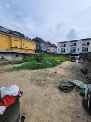 Strategic and Dry Land Facing the Road — Chevron Alternative Drive, Lekki, Lagos