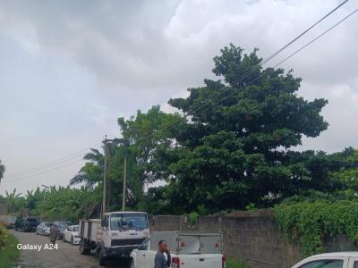 3,944 Sqm Fenced and Gated Plot of Land, James George Estate, Ikoyi, Lagos, Mixed-use Land for Sale