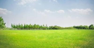 15000sqm Land in Ikoyi Crescent Ikoyi, Ikoyi Crescent, Old Ikoyi, Ikoyi, Lagos, Mixed-use Land for Sale