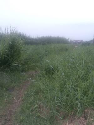 Half Plot of Dry Land Suitable for Residential & Commercial Purposes, Close to Baba Adisa Major Road, Ibeju Lekki, Lagos, Mixed-use Land for Sale