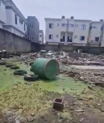 931 Sqm, Ikate, Lekki, Lagos, Land for Sale