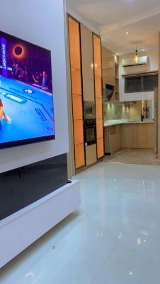 Luxury 2 Bedroom Apartment with Excellent Facilities, Freedom Way, Lekki, Lagos, Flat / Apartment for Rent