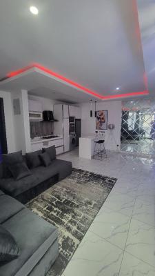 Fully Furnished 1 Bedroom Apartment, Freedom Way, Ikate, Lekki, Lagos, Mini Flat (room and Parlour) for Rent