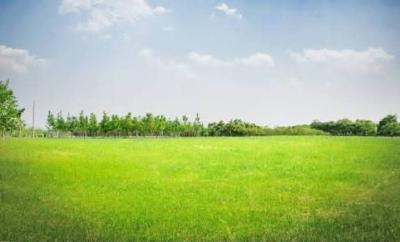 2700sqm Land, Lugard, Old Ikoyi, Ikoyi, Lagos, Mixed-use Land for Sale