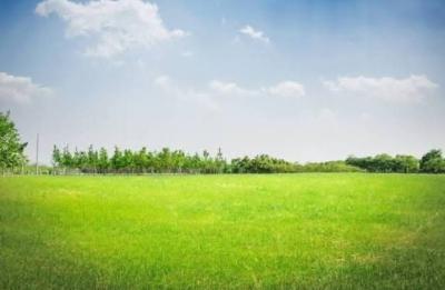 Residential Land, Bourdilion Road, Old Ikoyi, Ikoyi, Lagos, Residential Land for Sale