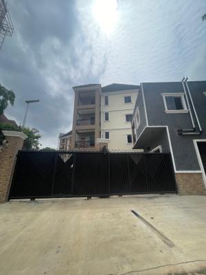 9units of 3-bedroom with 3units of 2bed with Boys Quater, Maitama, Abuja, Maitama District, Abuja, Detached Duplex for Rent
