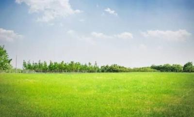 2 Plots Each Measuring 2000m2, Can Be Sold Together, Admiralty Way, Lekki Phase 1, Lekki, Lagos, Mixed-use Land for Sale