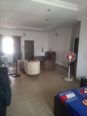 Spacious Studio Apartment, Divine Homes, Off Thomas Estate, Ajah, Lagos, Self Contain (single Rooms) for Rent