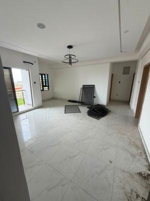 Fully Serviced Brand New Massive 2 Bedroom Apartment with Gym, Ologolo, Lekki, Lagos, Flat / Apartment for Rent