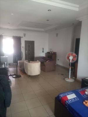 a Spacious Studio Room, Divine Home Estate, Thomas, Lekki, Lagos, Self Contain (single Rooms) for Rent