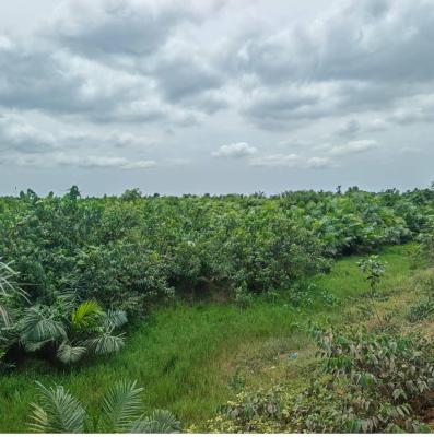 500sqm Mixed-used Land, Orimedu, Ibeju Lekki, Lagos, Mixed-use Land for Sale