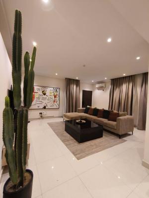 Executive Beautifully Furnished Serviced 1 Bedroom Apartment., Lekki Phase 1, Lekki, Lagos, Mini Flat (room and Parlour) for Rent