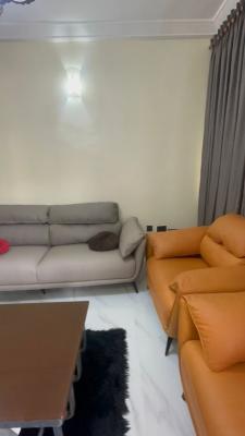 2 Bedroom Apartment, Serene Environment, Maitama District, Abuja, House for Rent