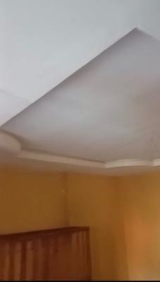 a Newly Renovated Miniflat with 2 Toilets and Pop, Egbeda, Alimosho, Lagos, Mini Flat (room and Parlour) for Rent