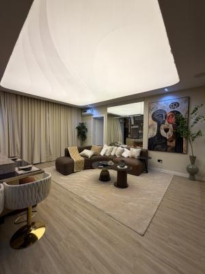 Furnished 2 Bedroom Apartment, Ikate, Lekki, Lagos, Flat / Apartment for Sale