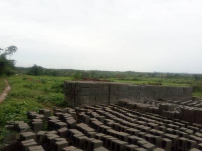 300 Acres of Prime Land Available -- Lagos-ibadan, Mowe Ofada, Ogun, Mixed-use Land for Sale