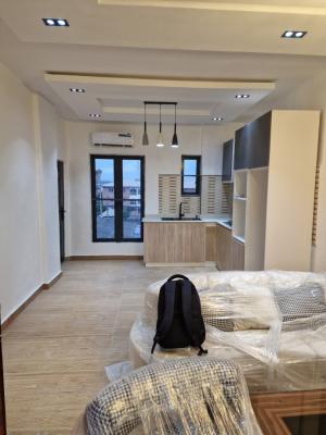 Luxury 2 Bed Furnished Apartment in a Secured Neighbourhood, Chisco, Ikate., Lekki, Lagos, Block of Flats for Sale