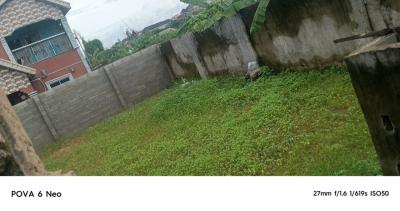 Solid Dry 143 Sqm of Land with Valid Receipt, Ekoro, Abule Egba, Agege, Lagos, Residential Land for Sale