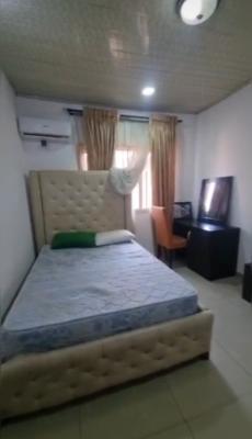 Spacious Mini Flat, Lekki Phase 1, Lekki, Lagos, Mini Flat (room and Parlour) for Rent