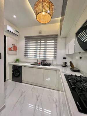 Luxuriously Furnished 2 Bedroom Apartment with Great Amenities, Lekki Phase 1, Lekki, Lagos, Flat / Apartment for Rent