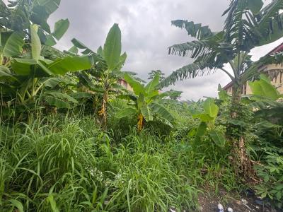 Land in a Secured Estate, Secured Estate 5mins Drive to Berger Bus Stop, Ojodu Berger, Ojodu, Lagos, Residential Land for Sale
