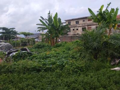a Bare Land Measuring Approximately 2 Plots of Land, Iyana School Bus Stop, Iyana Iba, Iba, Ojo, Lagos, Mixed-use Land for Sale