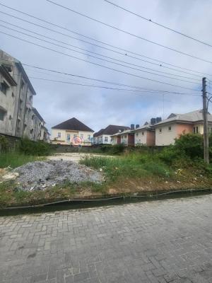 Land Measuring 680sqm, Chevyview Estate, Lekki, Lagos, Residential Land Joint Venture