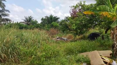 9,298m2 Dry Land with Cofo, Lakowe, Lakowe, Ibeju Lekki, Lagos, Mixed-use Land for Sale