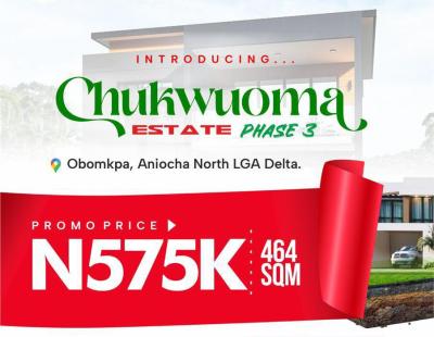 Mixed Use Land, *chukwuoma Estate Phase3 Obomkpawhere Smart Investors Are Moving Next, Aniocha North, Delta, Mixed-use Land for Sale