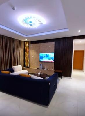 Fully Furnished 2 Bedroom Apartment, Alausa, Ikeja, Ikeja, Lagos, Flat / Apartment for Rent