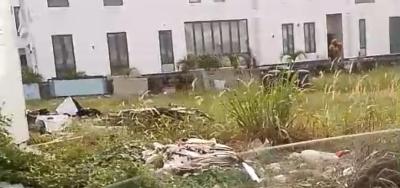833sqm with C of O, Cowrie Creek Estate, Ikate, Lekki, Lagos, Residential Land for Sale